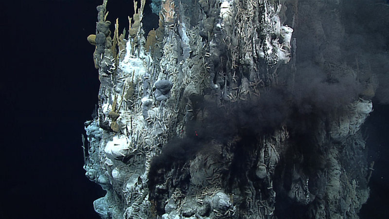 Image of black smoker vent chimney.