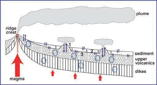 Schematic diagram illustrating hydrothermal circulation