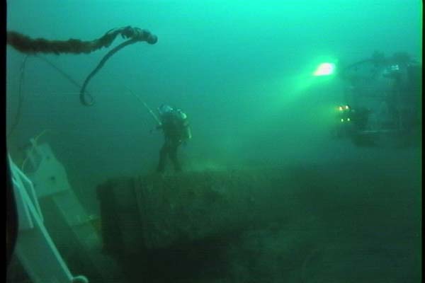 diver spider and Johnson sealink