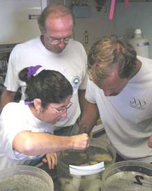 Scientists look at samples 