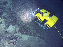 The Hercules ROV as seen from the Argus ROV.