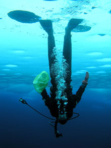 Ice diving on this cruise is different from other types of diving.