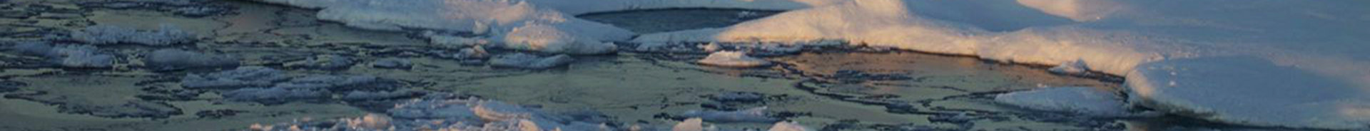 Russian-U.S. Arctic Census 2012: NOAA Office of Ocean Exploration and Research