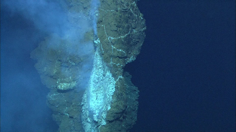 Submarine Ring of Fire 2012: Northeast Lau Basin