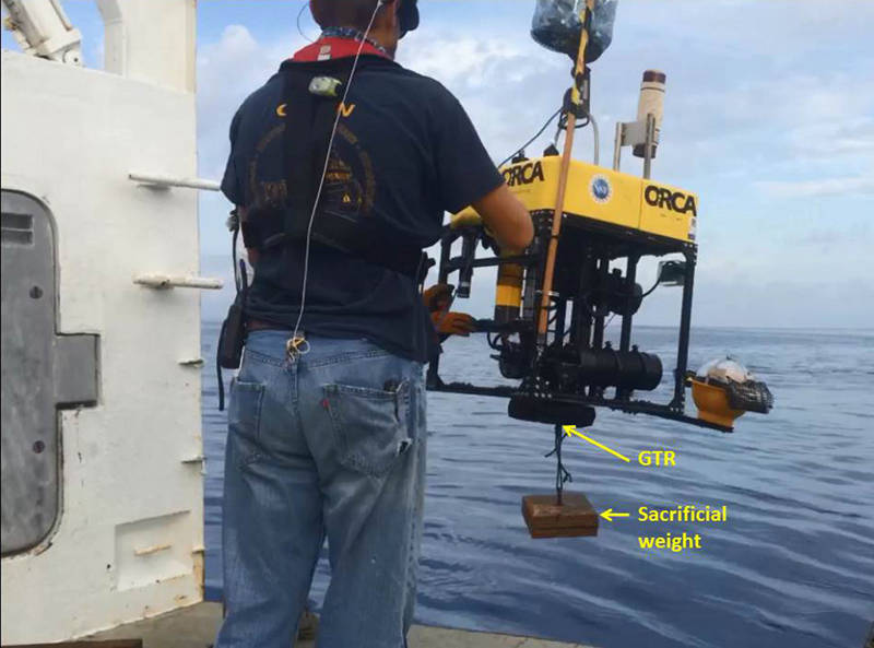 July 22: Medusa Deep in the Gulf of Mexico