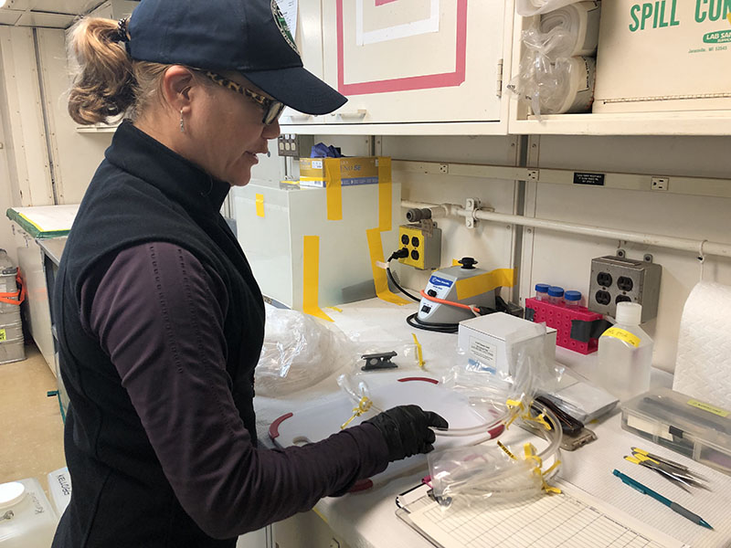 Cheryl Morrison prepares sections of sterilized tubing that she’ll use to transfer water from the Niskin bottles into sterile containers.