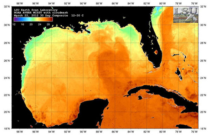 Gulf of Mexico 2012 Expedition: Gulf of Mexico Loop Current