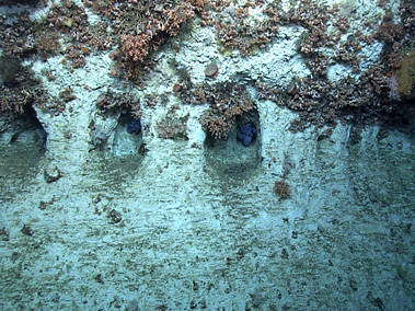 Dive 04 - East of Veatch Canyon