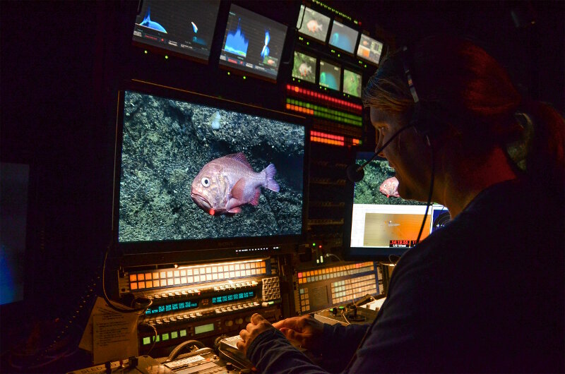 Caitlin Bailey, Videographer, Global Foundation for Ocean Exploration (GFOE)