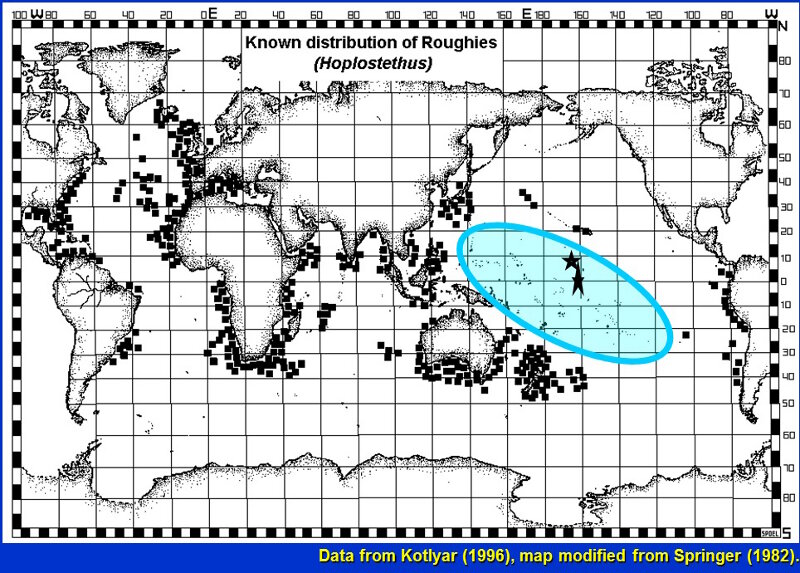 Roughies were the eighth most abundant type of fish seen in our submersible surveys between 250-750 meters (820 and 2460 feet) in the U.S. Line Islands, yet they had not been previously reported from the central Pacific Islands. The map on the right shows the distribution of roughies as known to 1996 with the small squares. The blue oval shows the vast area of the central Pacific where roughies were unknown. The two stars show the areas of our observations of roughies; the elongate star also includes a site where a pelagic larva had been collected but reported by a different scientific name.