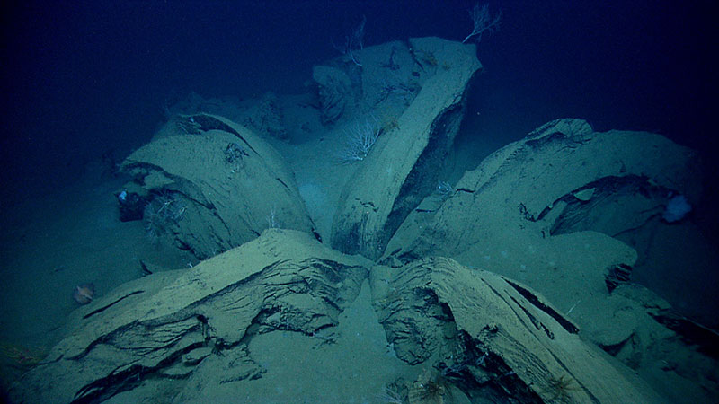 A natural extrusion of tar on the floor of the Gulf of Mexico.