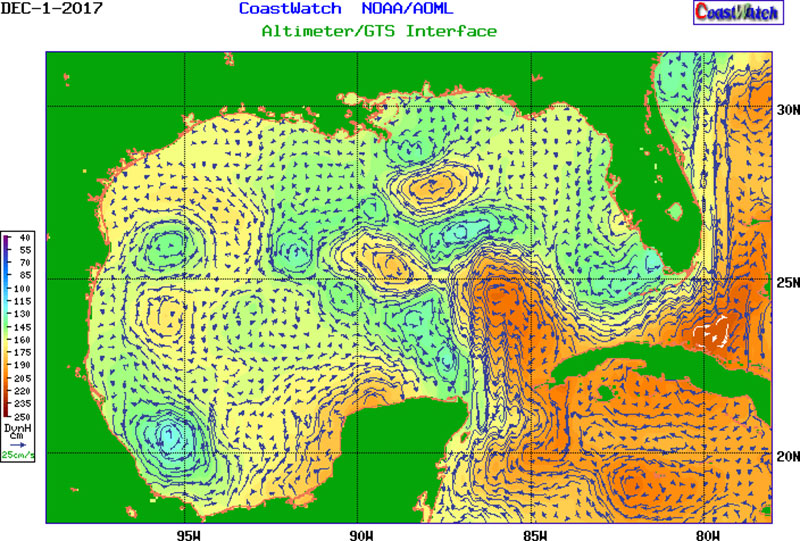 This map shows the geostrophic currents field in the Gulf of Mexico.