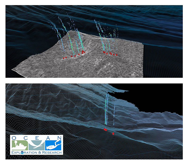 Images of bubble plumes from gaseous seeps collected using water column acoustic reflectivity observations from NOAA Ship Okeanos Explorer Northeast and Mid-Atlantic Canyons Expedition. Also shown is associated bathymetry and seafloor backscatter. Image courtesy of NOAA Office of Ocean Exploration and Research.