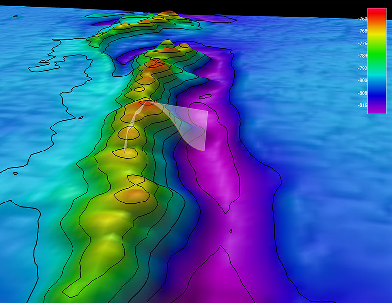 The remotely operated vehicle track for Dive 02 of the 2019 Southeastern U.S. Deep-sea Exploration expedition, shown as an orange line with a white curtain. This mapping data was collected during the first part of the expedition. Scale is water depth in meters. 