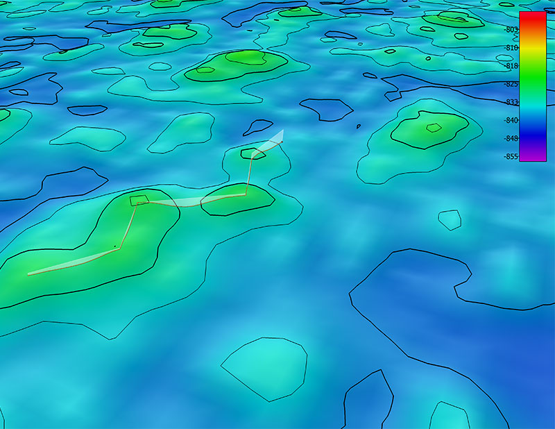 The remotely operated vehicle track for Dive 04 of the 2019 Southeastern U.S. Deep-sea Exploration expedition, shown as an orange line with a white curtain. This mapping data was collected during the first part of the expedition. Scale is water depth in meters. 